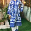 Shrenz 2 Piece Stitched Silk Pret Collection