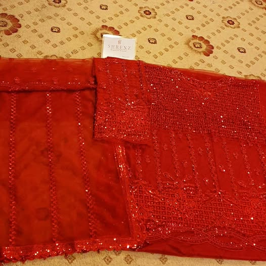 Aneela's Red Bridal Collection Net Maxi Replica - Image 5