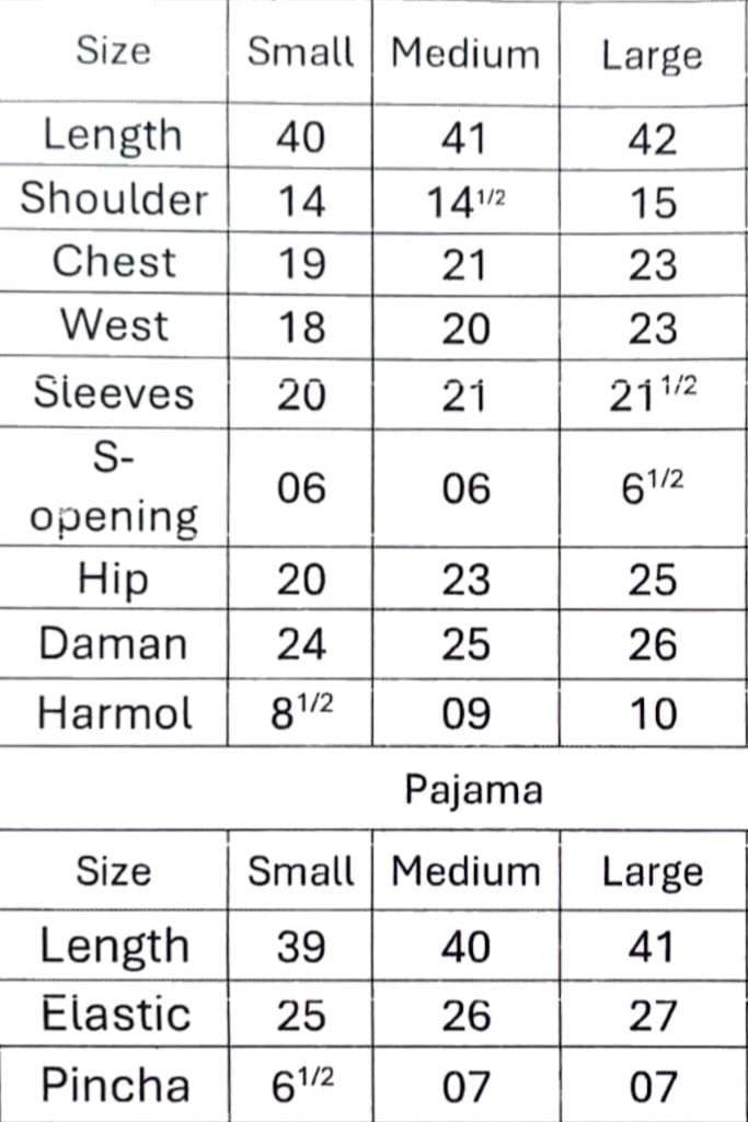 Shrenz 3 Piece Stitched Silk Pret Collection - Image 2