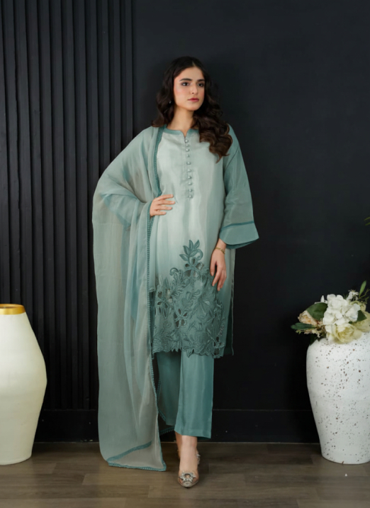 Shrenz 3 Piece Stitched Raw Silk Pret Collection