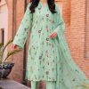 Shrenz Pistachio Luxury Lawn Collection Replica