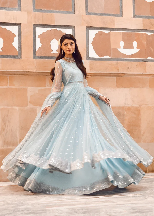 Shrenz Sky Blue Soft Net Formal Collection Replica - Image 3
