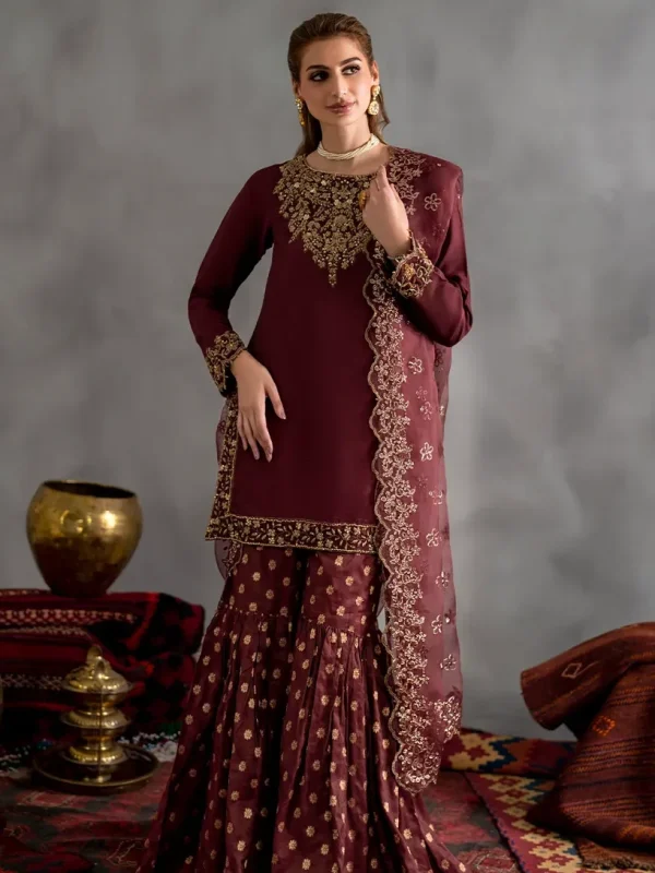 Iznik Maroon Chiffon Formal Collection Replica