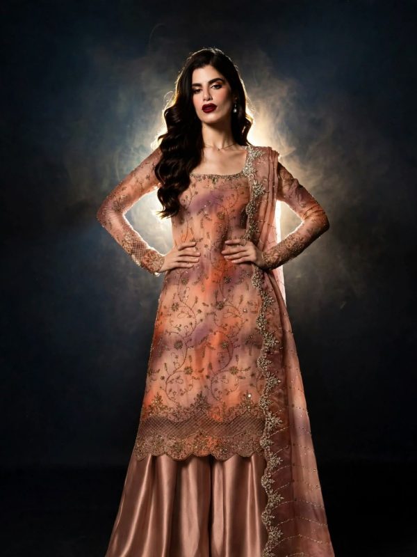 Shrenz Brown Cutdana Sheesha Silk Formal Collection Replica