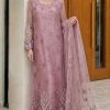 Shrenz Pink Soft Net Formal Cutdana Collection Replica